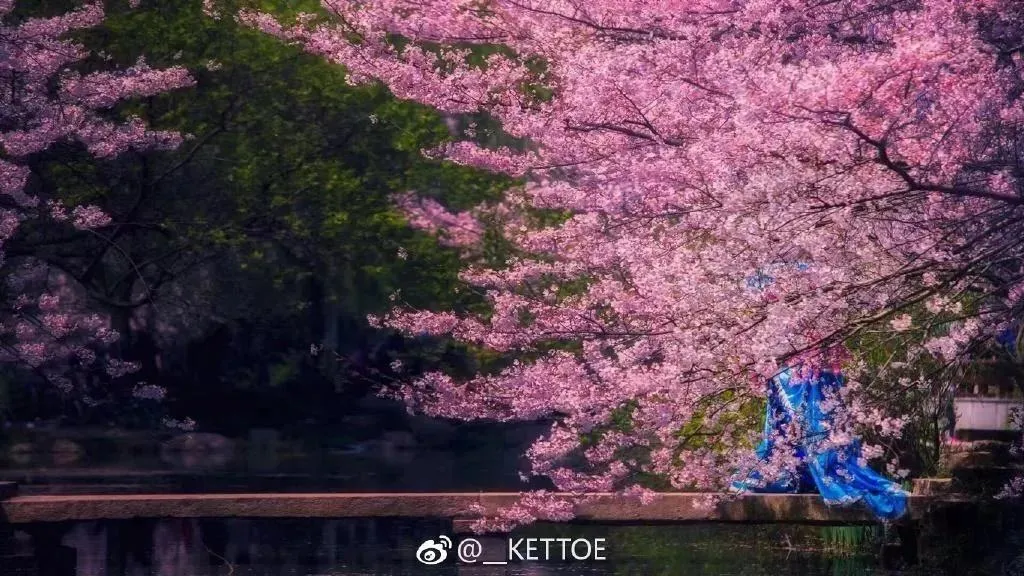 Kettoe – NO.01 微博配图[8] [82P]插图6